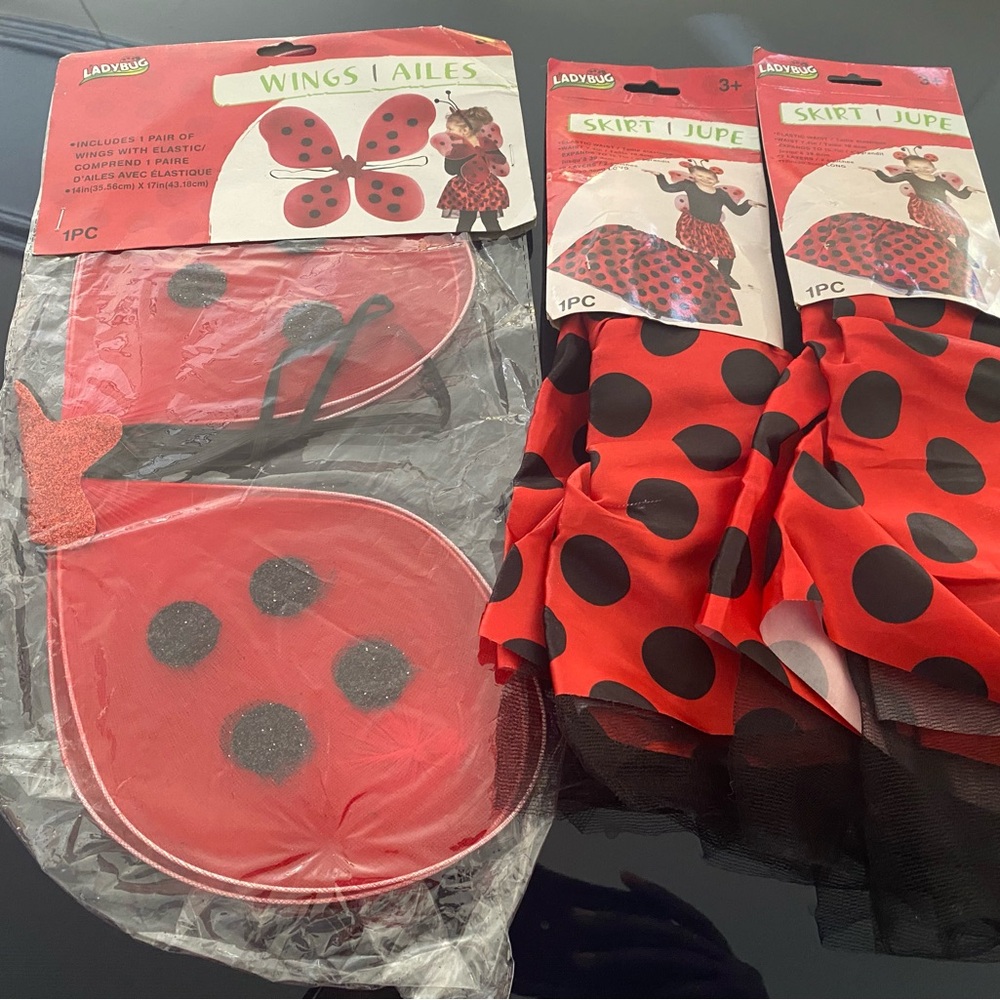 Red and Black Ladybug Costume Set for 3+